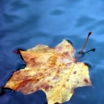 ECOS Environmental Consultants - Environmental Management - Water Resource Management