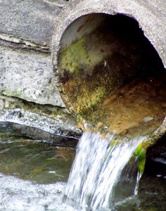 ECOS Environmental Consultants - water flowing from a drain