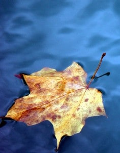 ECOS Environmental Consultants - Environmental Management - Water Resource Management