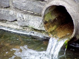 ECOS Environmental Consultants - About Us