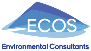 Industrial Emissions (IE) Licences